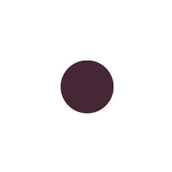 BLACK PLUM PENCIL